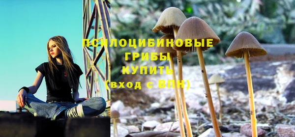 прущая мука Белокуриха