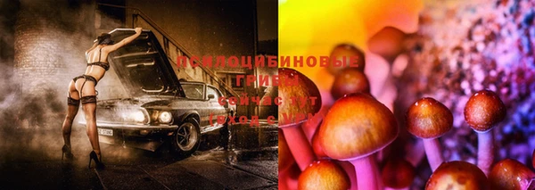 прущая мука Белокуриха