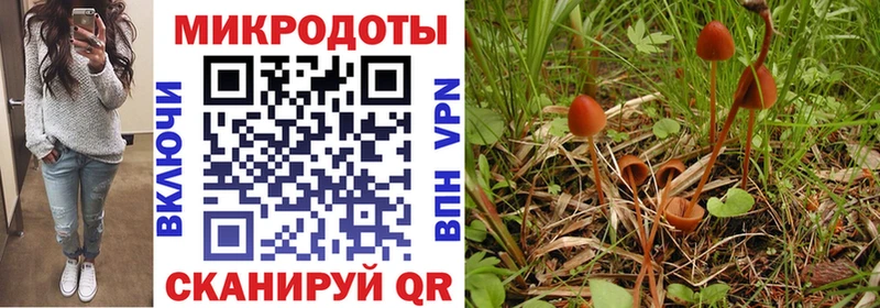 Псилоцибиновые грибы мухоморы  Купить закладки  Лянтор 